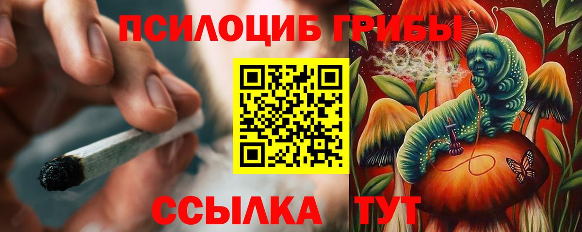 Кудрово  Галлюциногенные грибы Cubensis  Вход с VPN 